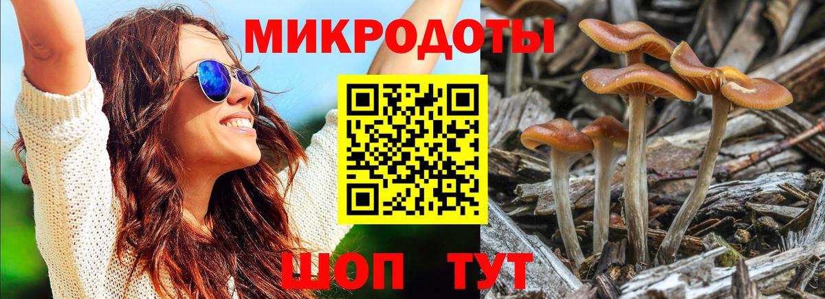 Псилоцибиновые грибы MAGIC MUSHROOMS  Вход с VPN  Галлюциногенные грибы мицелий  Рузаевка 